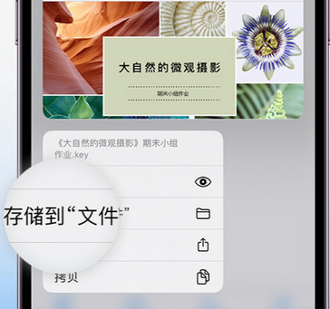 保德apple维修中心分享iPhone文件应用中存储和找到下载文件