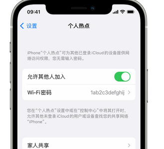 保德apple服务站点分享iPhone上个人热点丢失了怎么办