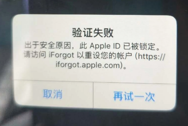 保德iPhone维修分享iPhone上正常登录或使用AppleID怎么办 