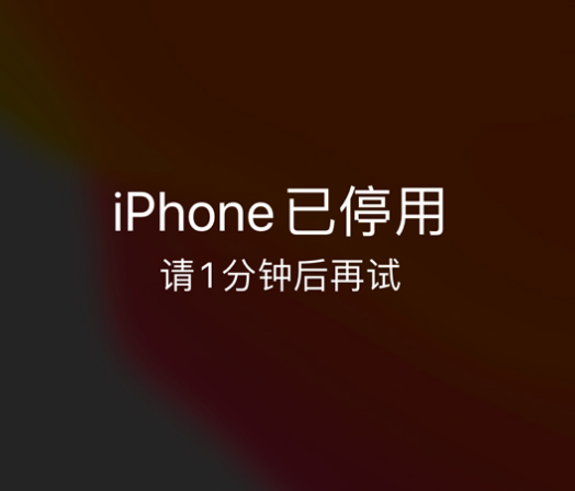 保德苹果手机维修分享:iPhone 显示“不可用”或“已停用”怎么办？还能保留数据吗？ 