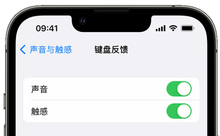 保德苹果手机维修分享iPhone 14触感键盘使用方法 