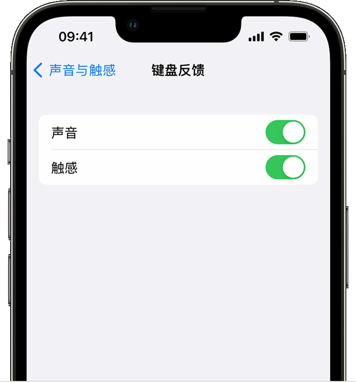 保德苹果14维修店分享如何在 iPhone 14 机型中使用触感键盘 