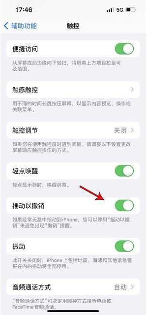 保德苹果手机维修分享iPhone手机如何设置摇一摇删除文字 