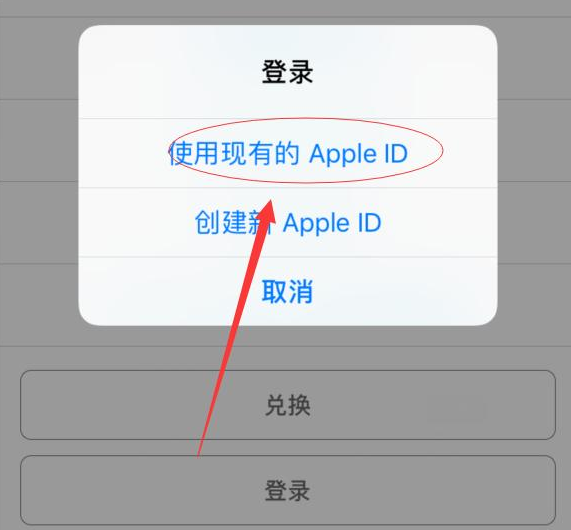 保德苹果手机维修分享两台iPhone设备可以同时登录一个Apple ID吗 